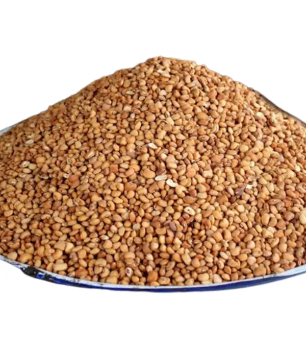 bag-of-brown-beans-dhwvq70096